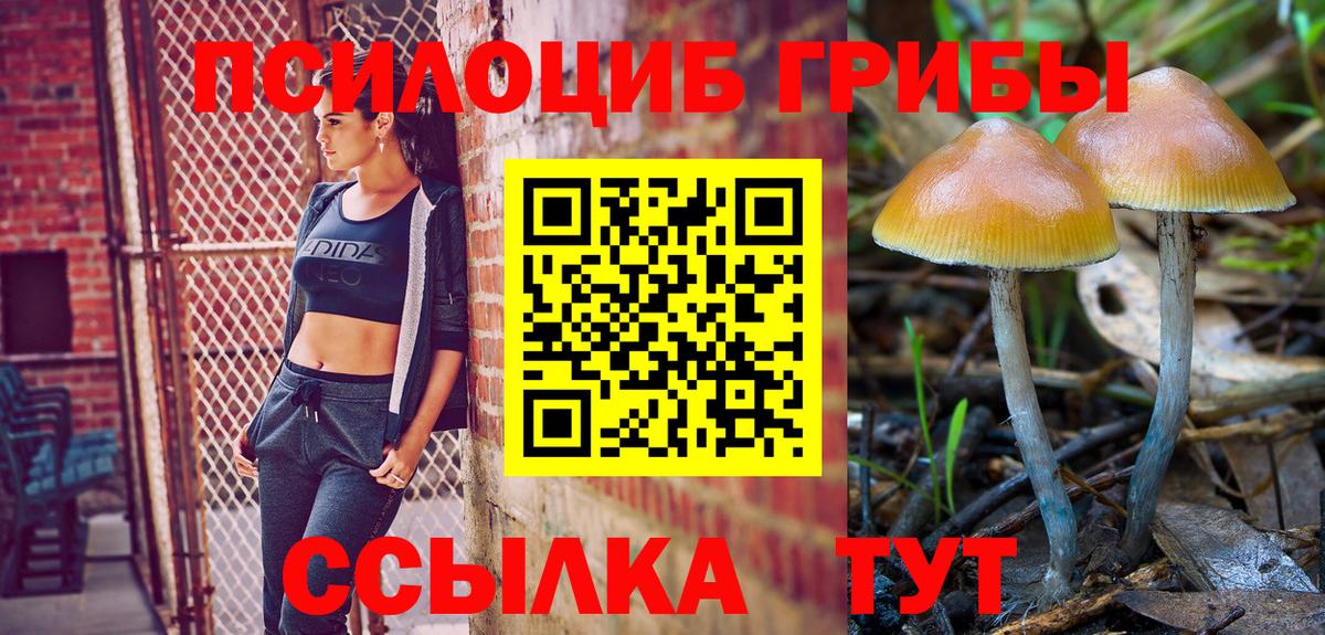 Галлюциногенные грибы GOLDEN TEACHER  Галлюциногенные грибы Psilocybe  Кандалакша  Вход с VPN 